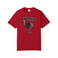 It's Not a Phase Funny Emo T-Shirt