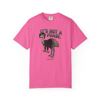 It's Not a Phase Funny Emo T-Shirt