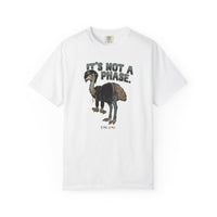 It's Not a Phase Funny Emo T-Shirt