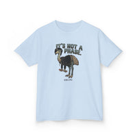 It's Not a Phase Funny Emo Kid T-Shirt