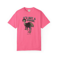 It's Not a Phase Funny Emo T-Shirt