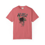 It's Not a Phase Funny Emo T-Shirt