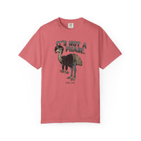 It's Not a Phase Funny Emo T-Shirt