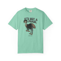 It's Not a Phase Funny Emo T-Shirt