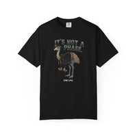 It's Not a Phase Funny Emo T-Shirt