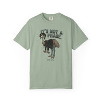 It's Not a Phase Funny Emo T-Shirt