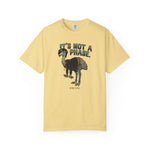 It's Not a Phase Funny Emo T-Shirt