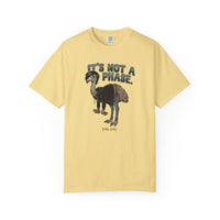 It's Not a Phase Funny Emo T-Shirt